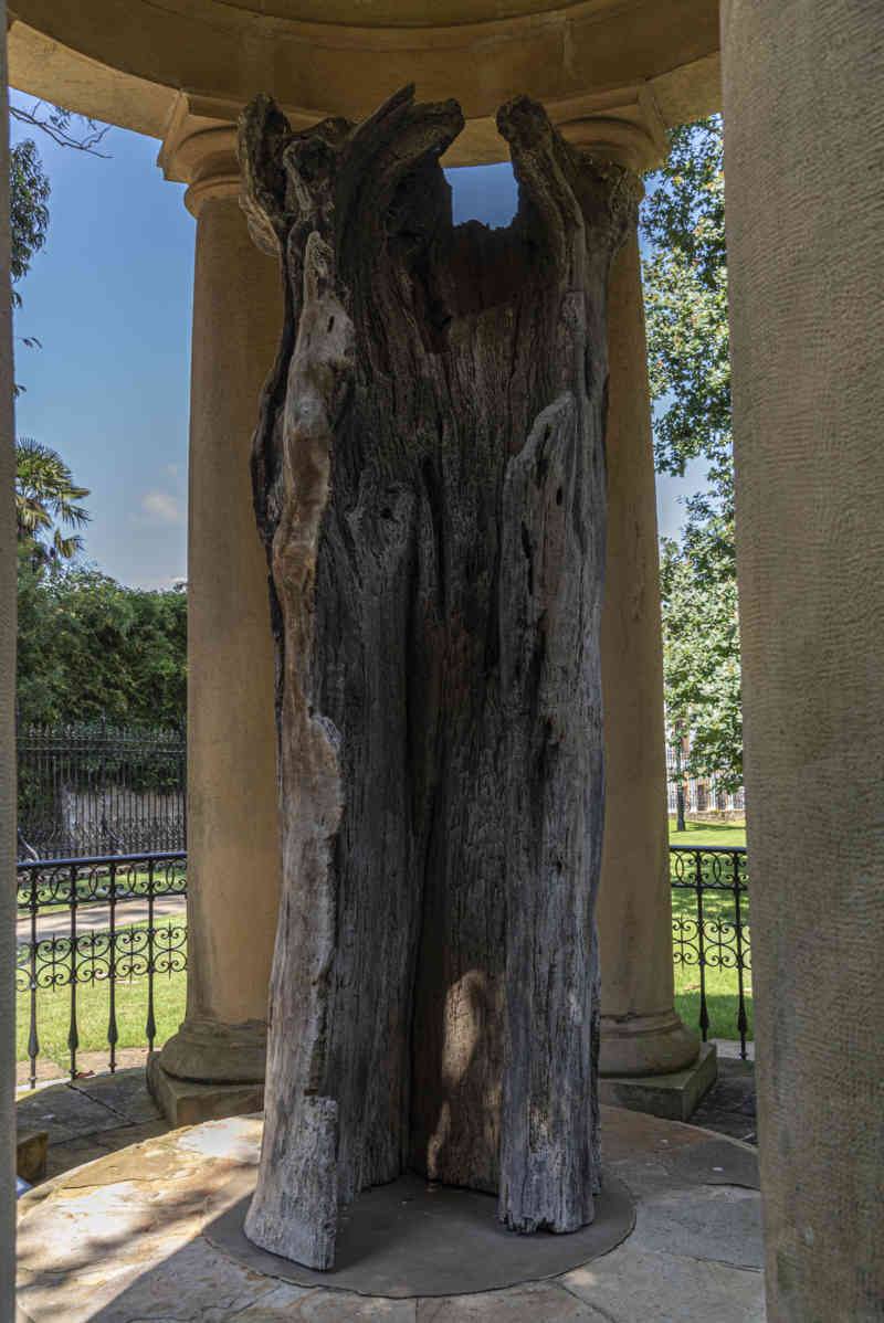 Vizcaya - Gernika-Lumo 16 - Casa de Juntas - antiguo árbol de Gernika.jpg
